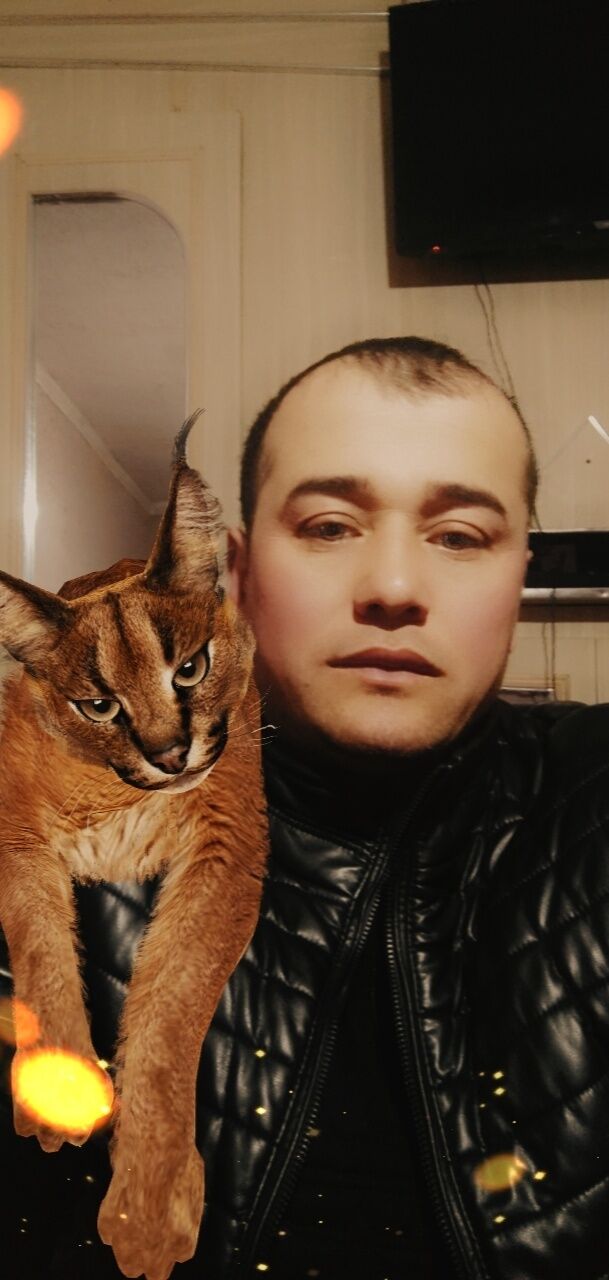 ���������� �������, ���� ������� MP ����, 35 ���, ������������ ��� ������, ����� � ���������