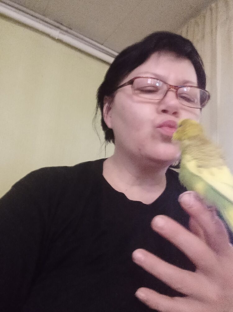  --,   , 54 ,     , c 
