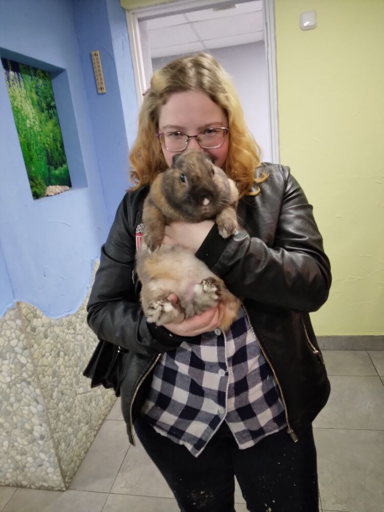 ���� 25572664 ������� ������, 22 ����, ���� ���������� � ������