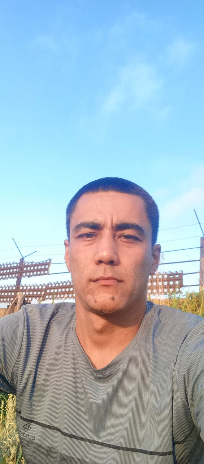  53006394  , 30 ,    