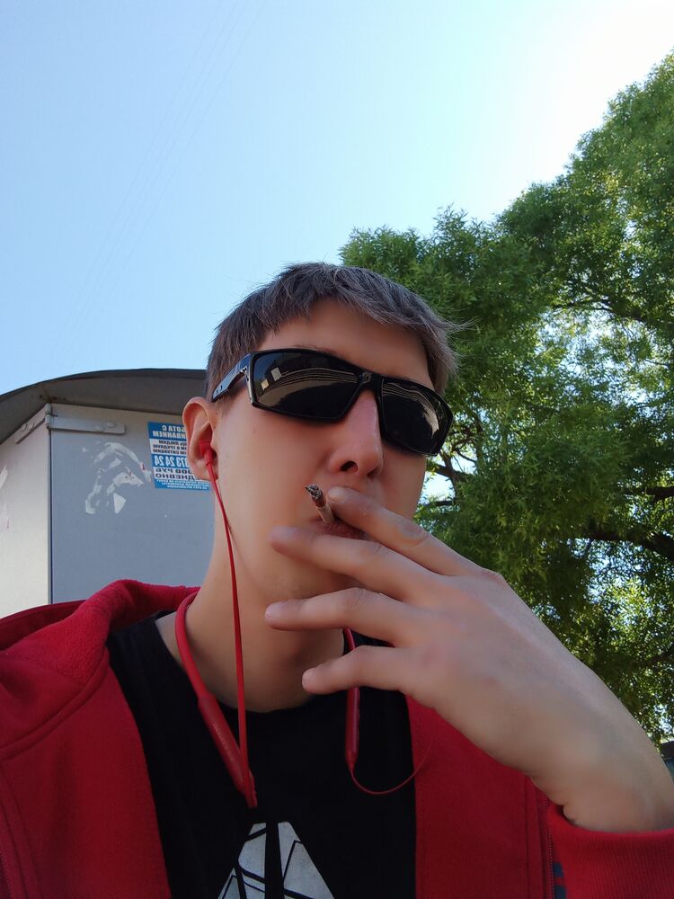  43511534  , 31 ,    
