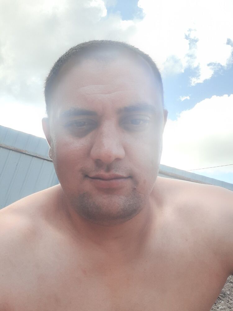  28742544  , 31 ,    