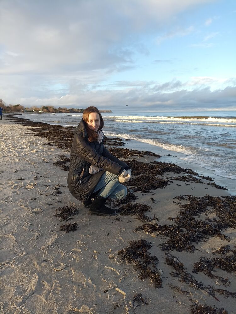 ���������� ����, ���� ������� Vetta, 35 ���, ������������ ��� ����� � ���������