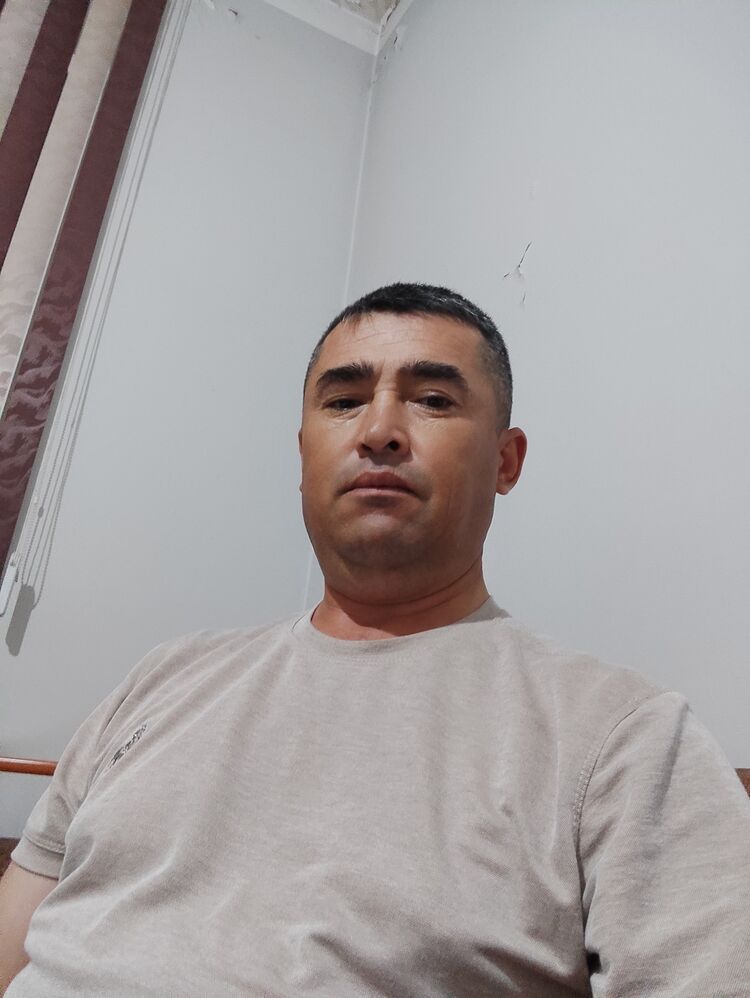  34556534  , 38 ,    
