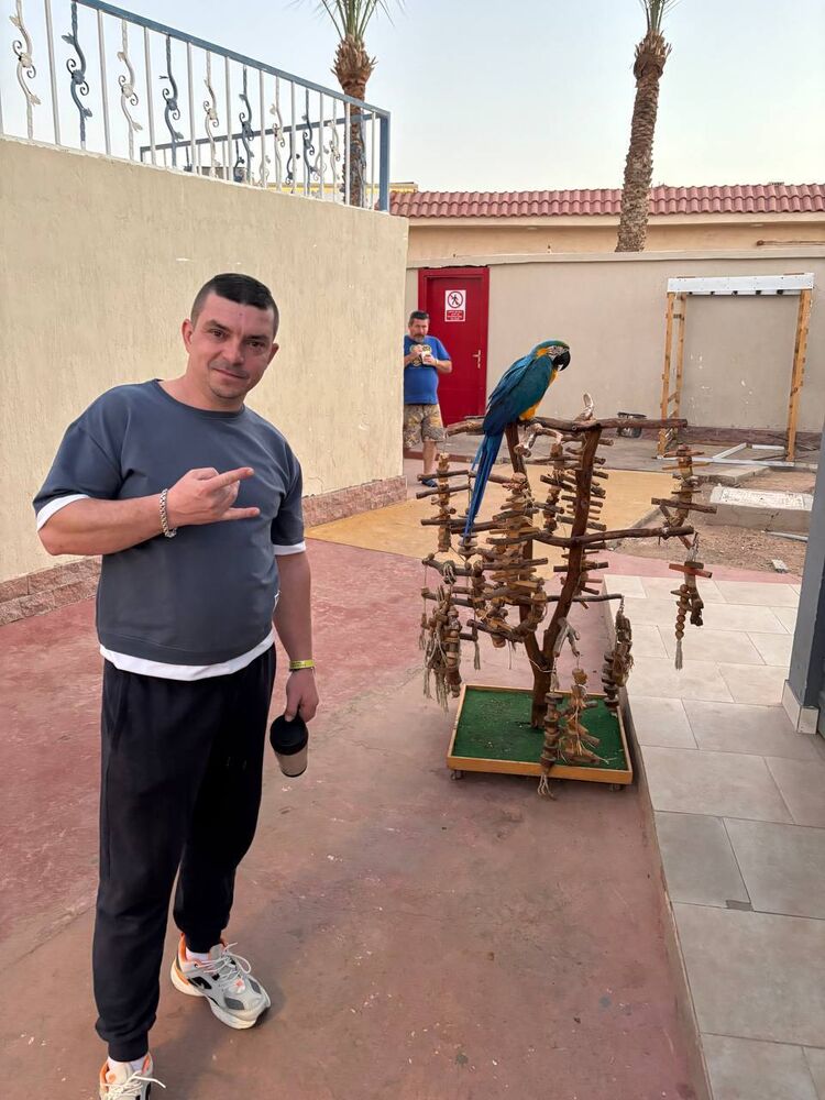 ���������� �����������, ���� ������� ������, 41 ���, ������������ ��� ����� � ���������, c�������� ���������