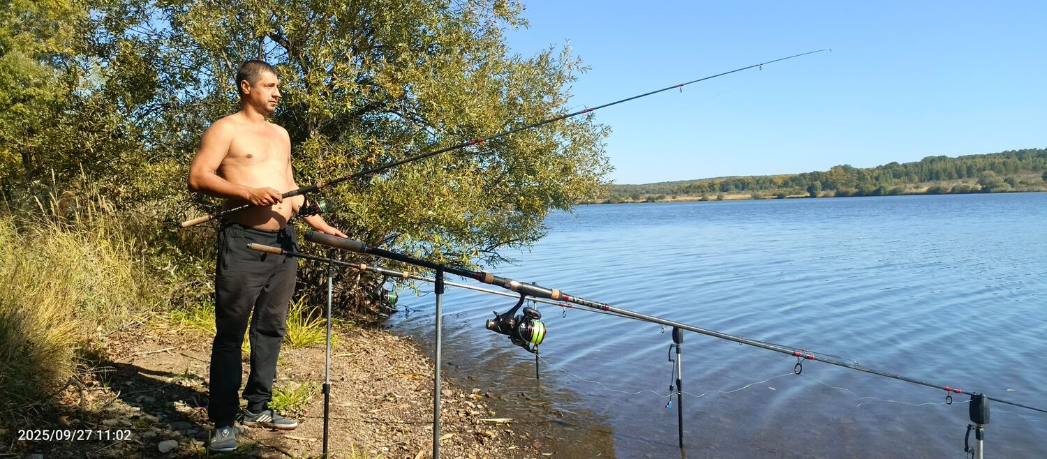 ���������� ������-�������, ���� ������� �������, 44 ����, ������������ ��� ������, ����� � ���������, c�������� ���������, ���������