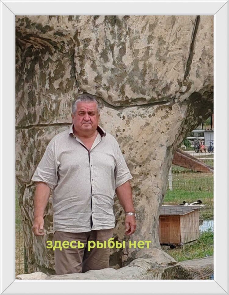  45079614  , 71 ,    