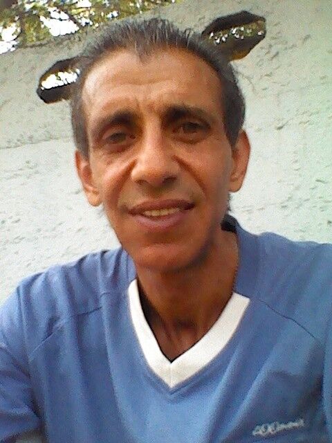 ���������� ���������, ���� ������� Zaref, 48 ���, ������������ ��� ������, ����� � ���������, c�������� ���������