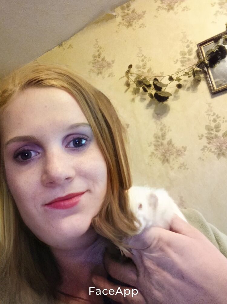  ,   , 36 ,   ,   , c , 