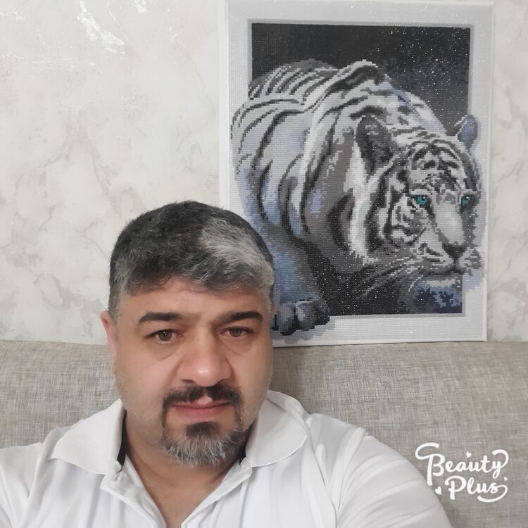  44484724  Zalim muro, 45 ,    