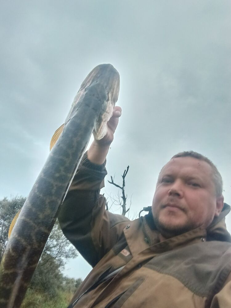 ���� 55838074 ������� �������, 39 ���, ���� ���������� � ����