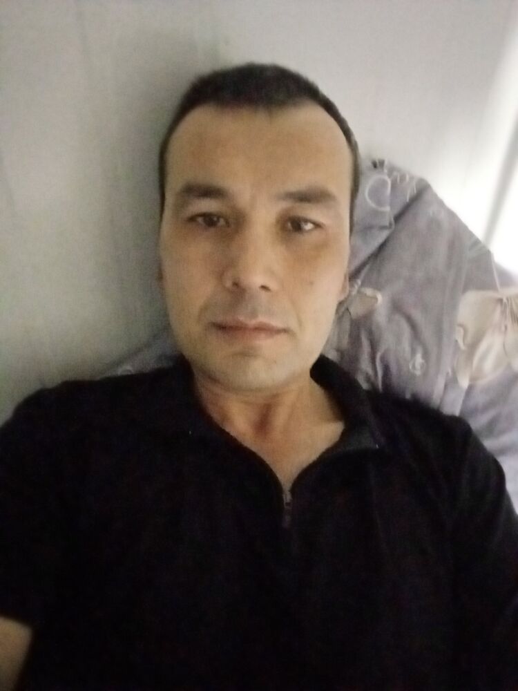  39781894  , 43 ,    