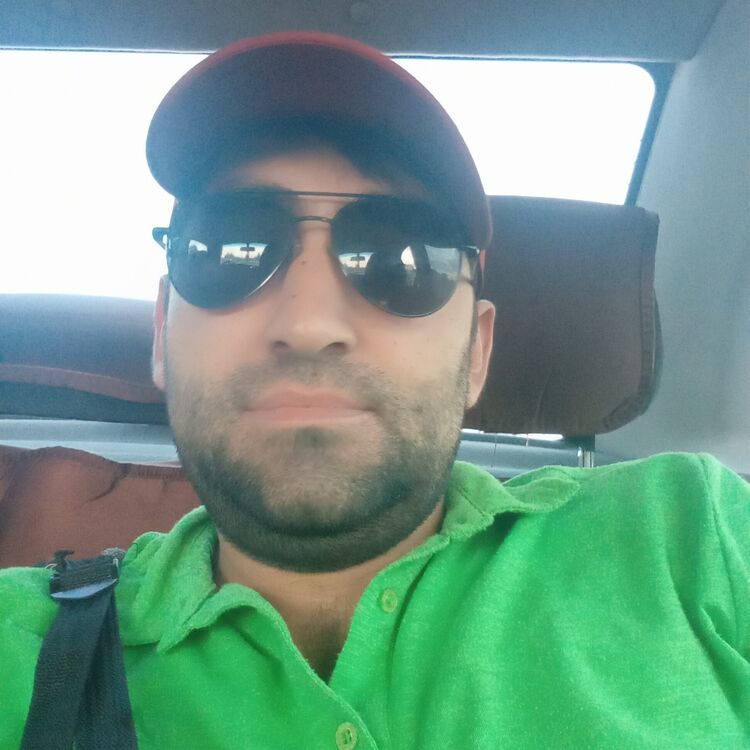  46006864  , 31 ,     