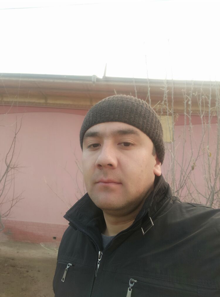 ���� 24808364 ������� Odil, 38 ���, ���� ���������� � ������