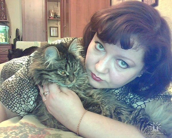 ���������� ������������, ���� ������� �����, 51 ���, ������������ ��� ������, ����� � ���������, c�������� ���������