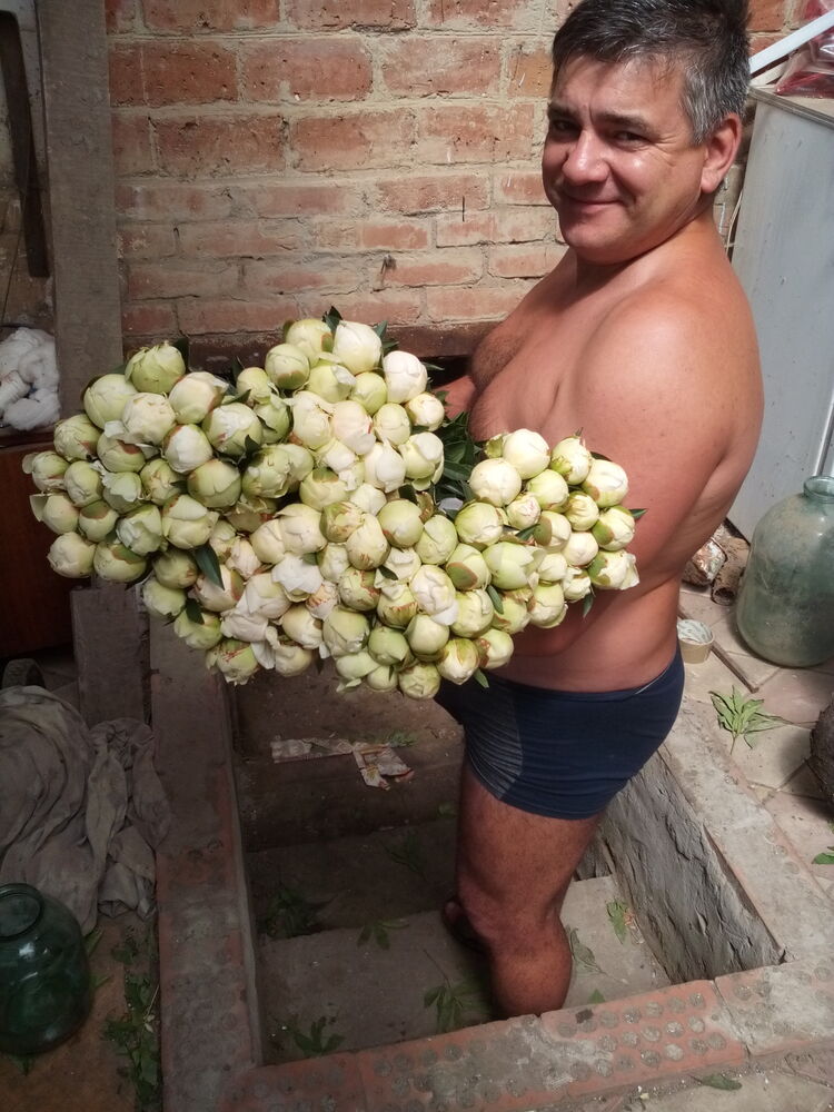  24937704  , 48 ,    