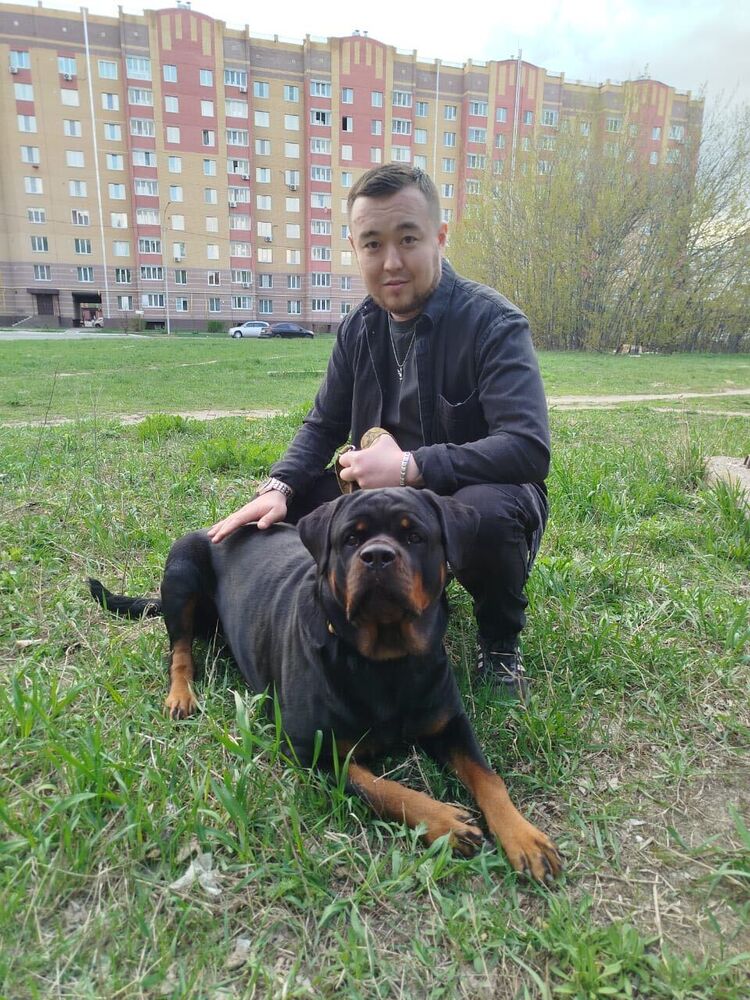 ���� 54996574 ������� �������, 30 ���, ���� ���������� � ����������