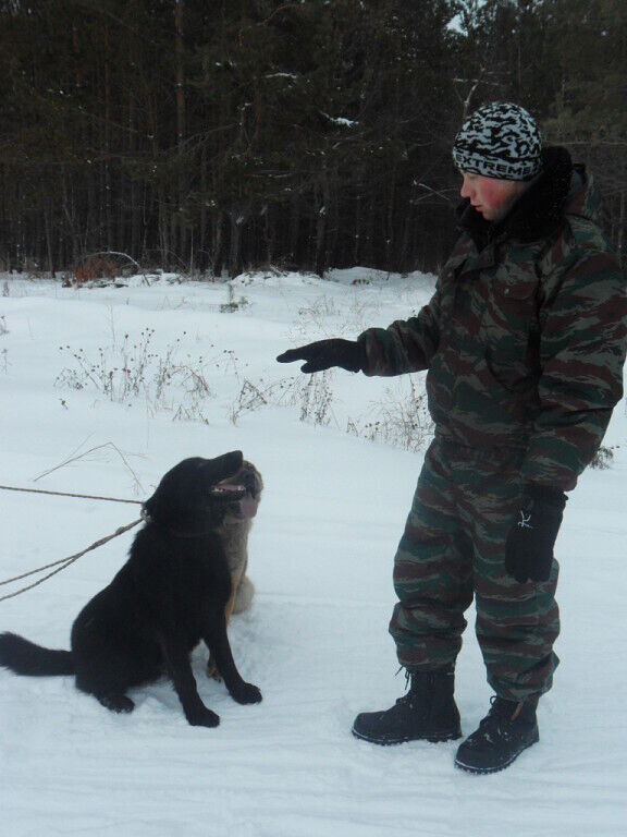 ���� 26651664 ������� VD, 40 ���, ���� ���������� � ������