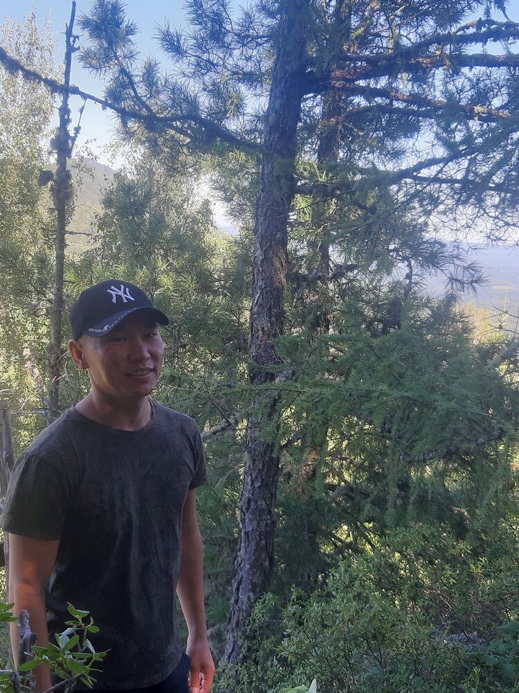  29588304  , 29 ,    -