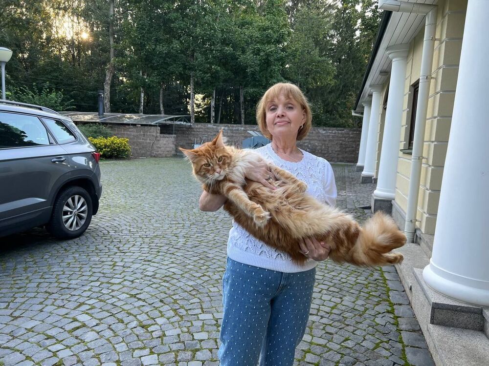  -,   Natalya, 64 ,   ,   