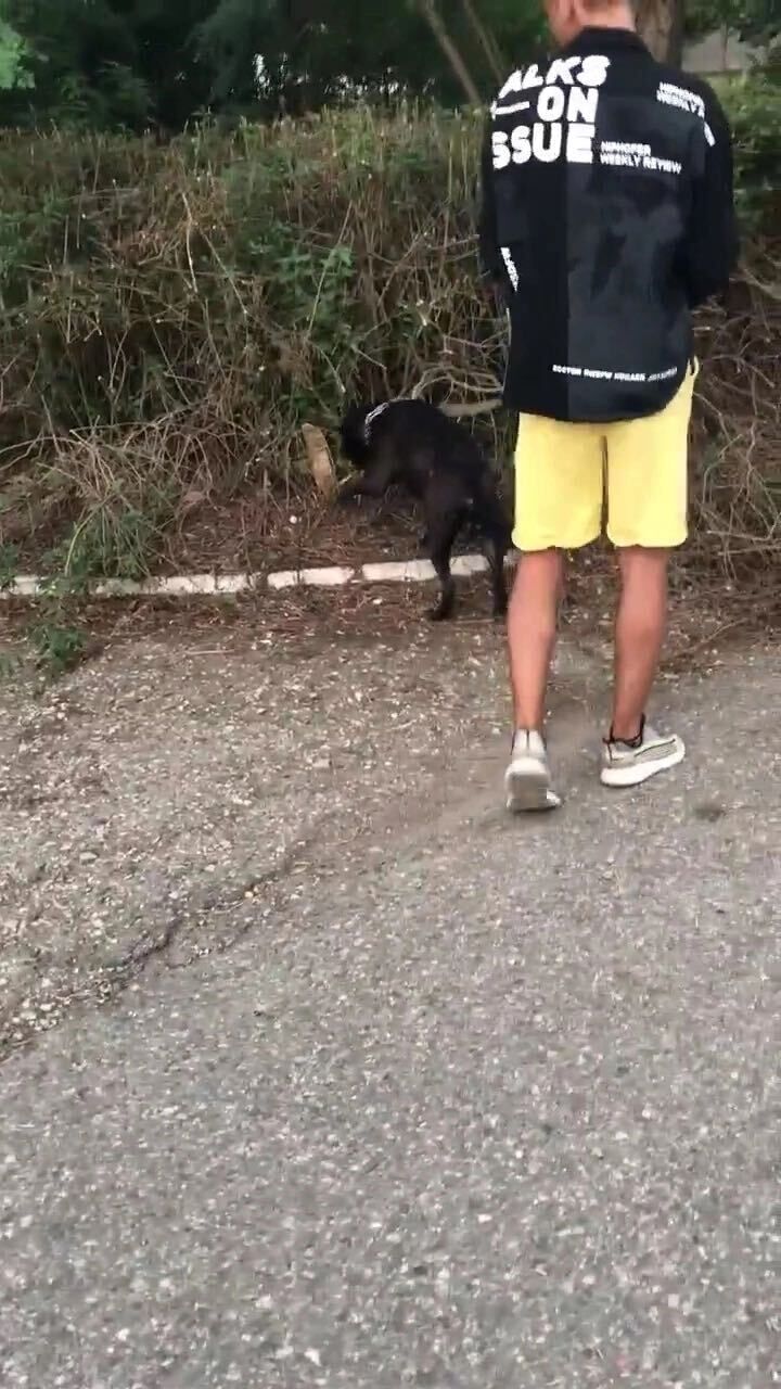 ���� 31346924 ����� Mayot, 21 ���, ���� ���������� � �����������