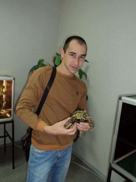 ���� 16624944 ������� ������, 36 ���, ���� ���������� � ��������