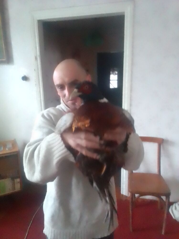  38213384  , 40 ,    