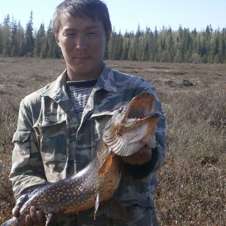 ���� 55046134 ������� �������, 41 ���, ���� ���������� � ������������