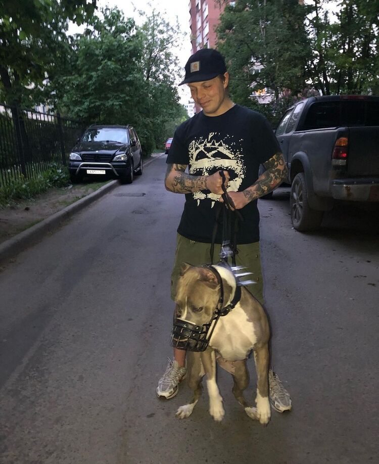 ���� 40618314 ������� ������, 33 ����, ���� ���������� � �����-����������