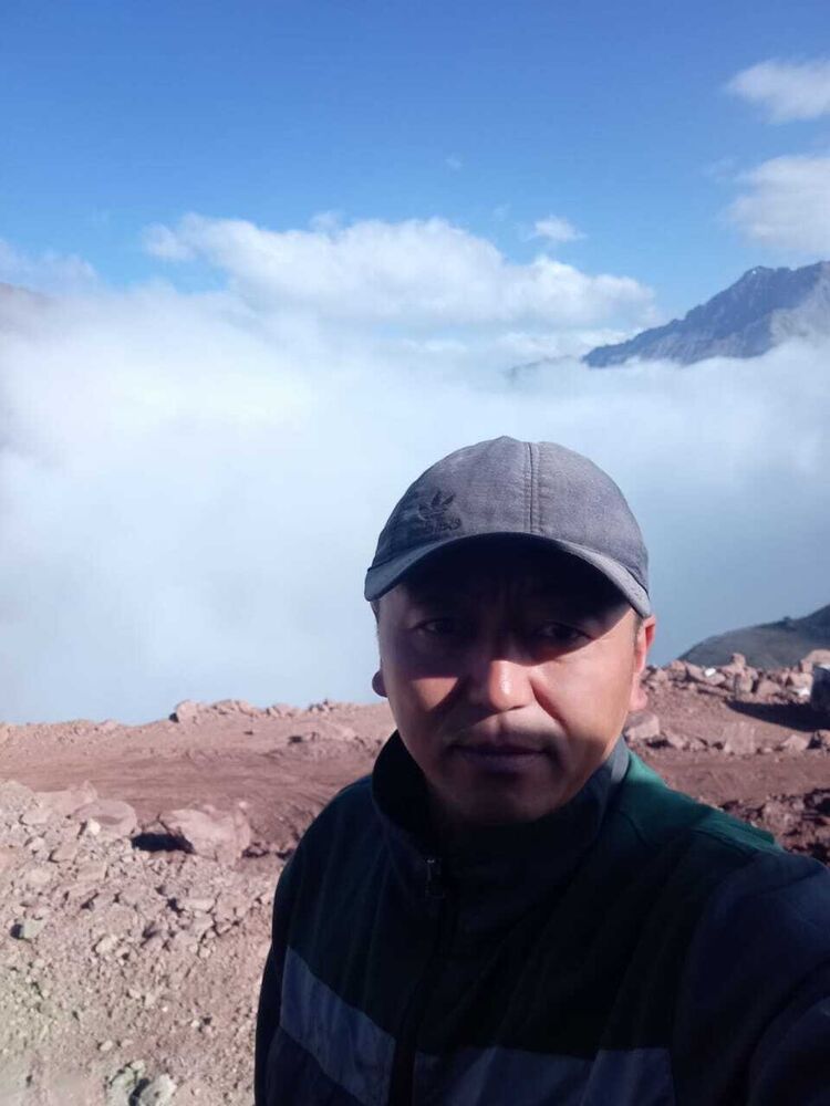  28765144  , 37 ,    -