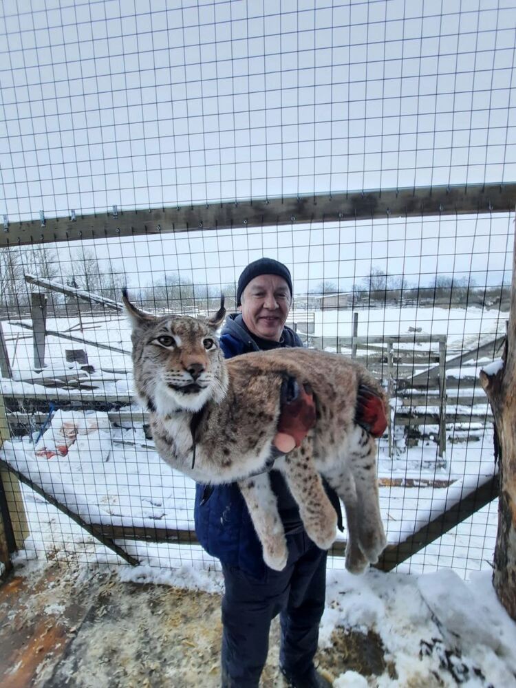 ���� 33638834 ������� ����������, 53 ����, ���� ���������� � �����-����������