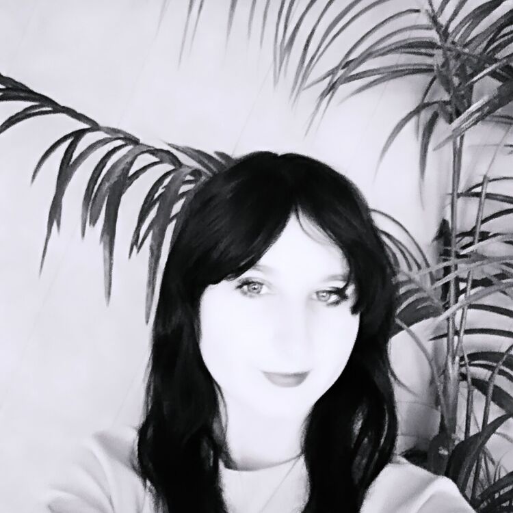 ���� 46168304 ������� �������, 20 ���, ���� ���������� � �������