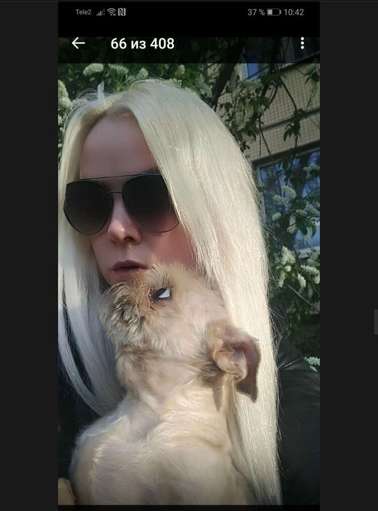  -,   , 46 ,   ,   , c 