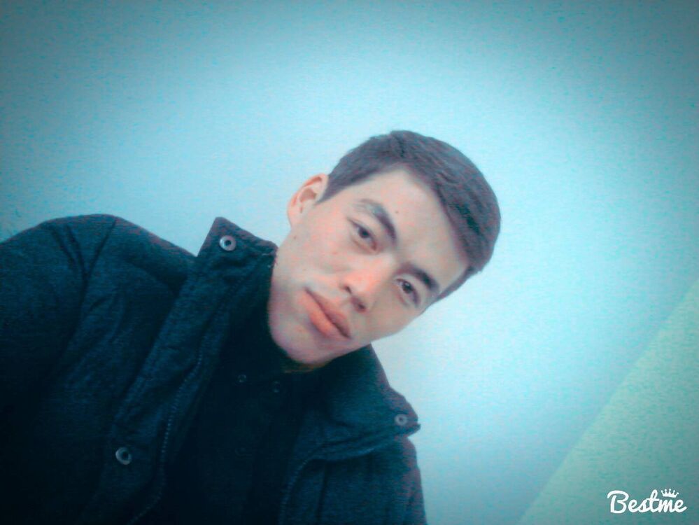  8746594  Umid5155588, 34 ,    