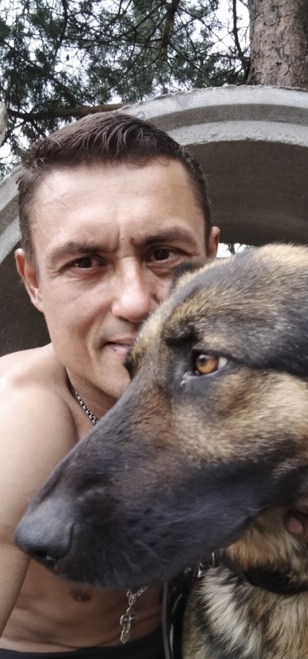 ���������� ���������, ���� ������� ������, 44 ����, ������������ ��� ������, ����� � ���������