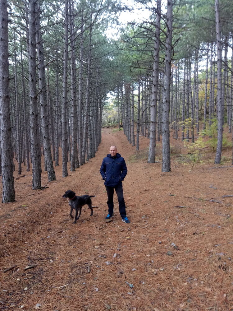 ���������� ����, ���� ������� ���������, 40 ���, ������������ ��� ������, ����� � ���������, c�������� ���������