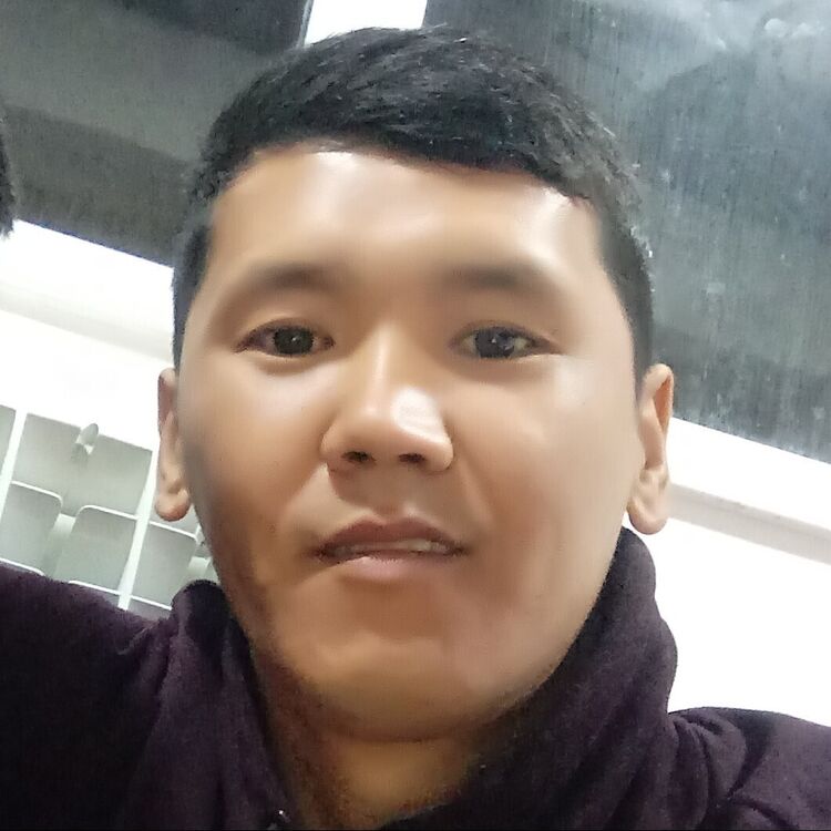  21669784  , 37 ,    