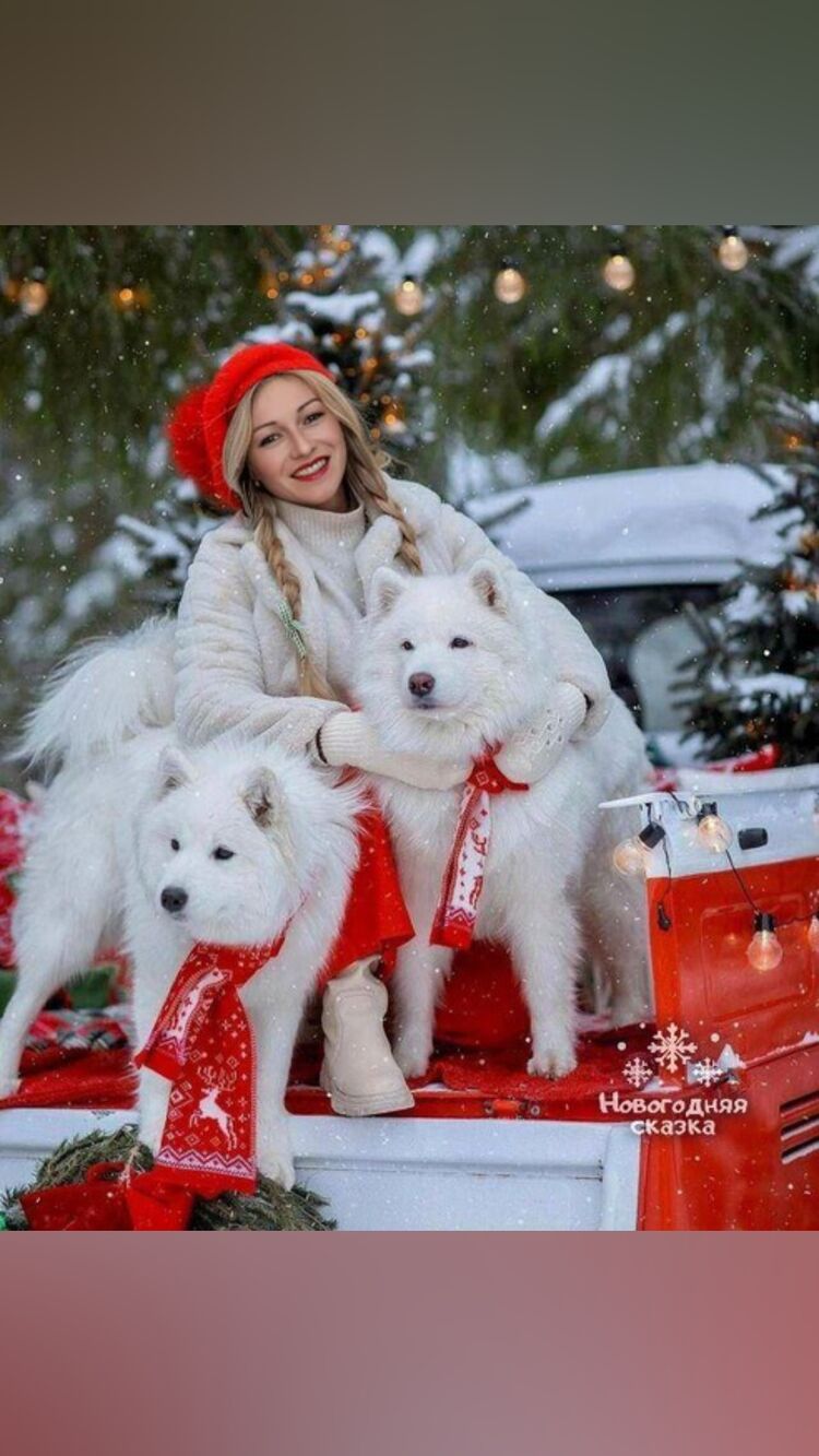 ���������� ���������, ���� ������� ��������, 38 ���, ������������ ��� ���������