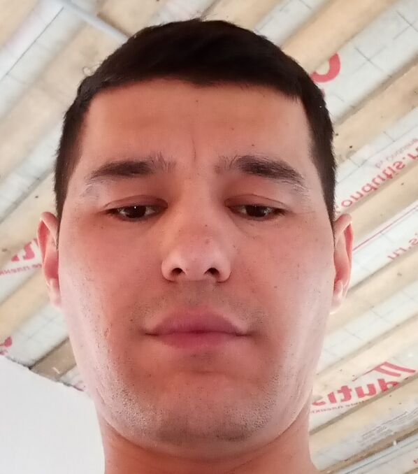  33308164  , 34 ,    