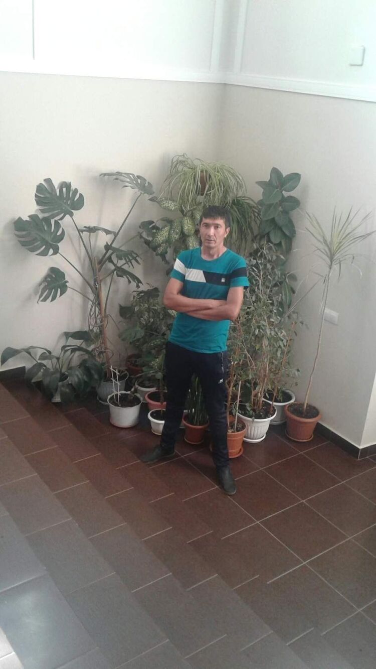 45208294  , 41 ,    
