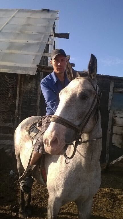 ���������� �����������, ���� ������� �����, 36 ���, ������������ ��� ������, ����� � ���������, c�������� ���������