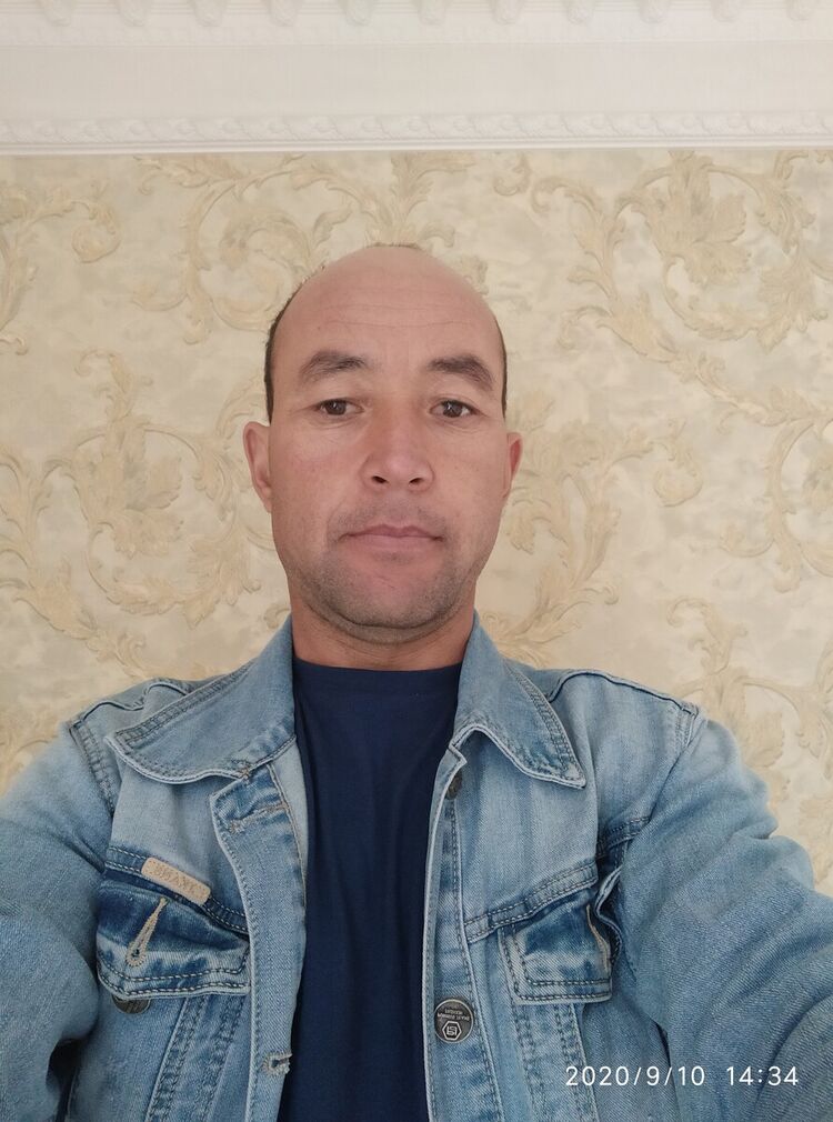  21203244  , 43 ,    