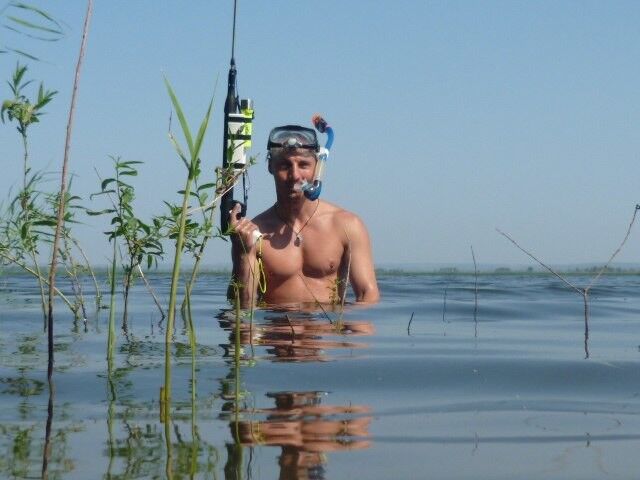 ���� 4188484 ������� ������, 40 ���, ���� ���������� � �����