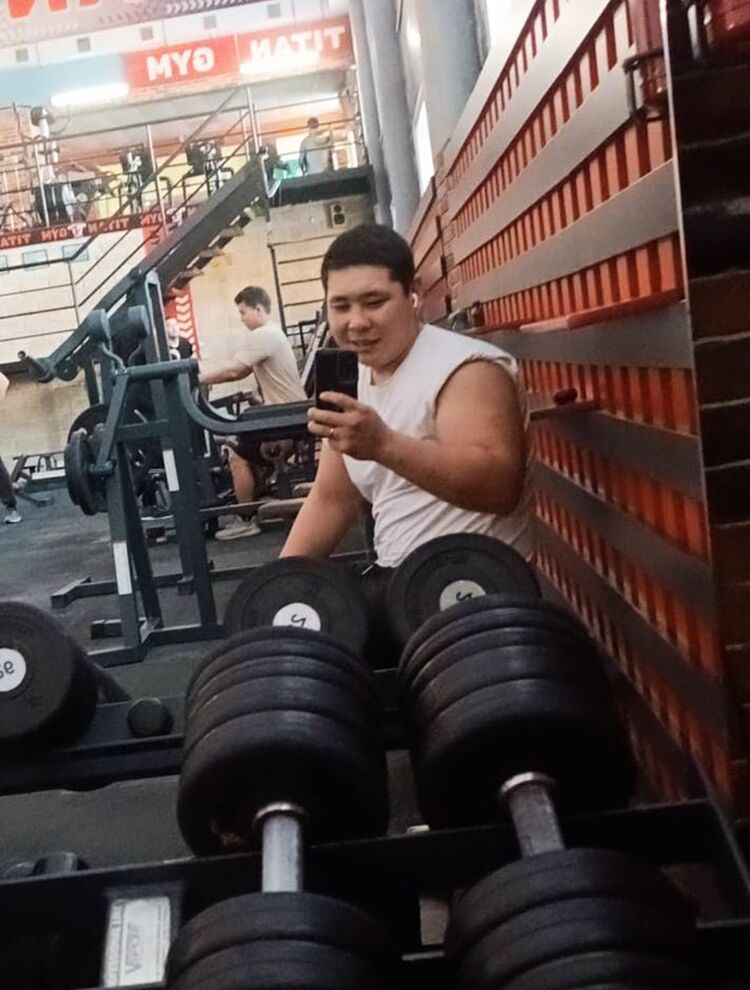  53387074  , 23 ,    