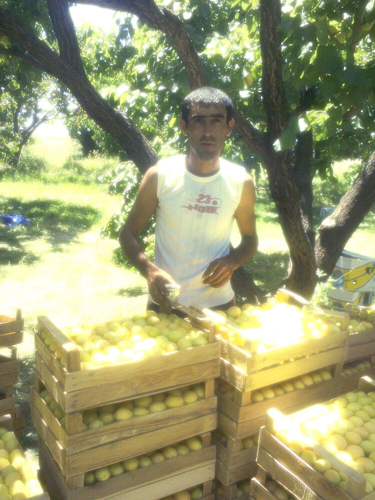 ���� 5344134 ������� MHER, 38 ���, ���� ���������� � �������