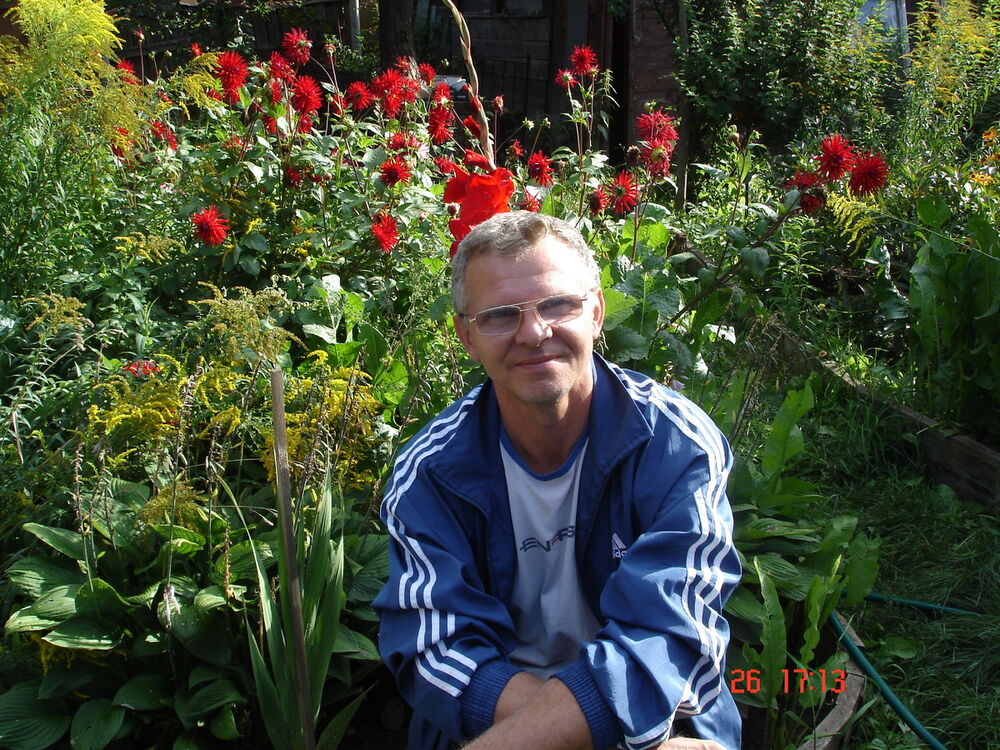   ,   , 62 ,   