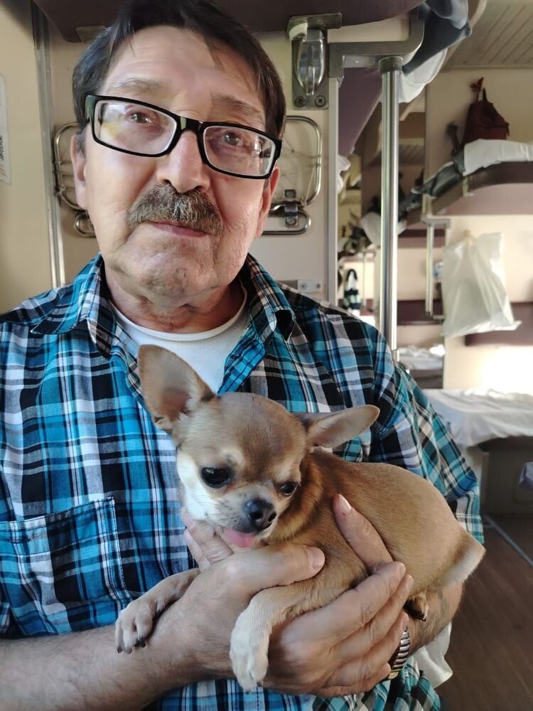 ���� 55758064 ������� �����, 66 ���, ���� ���������� � �������������