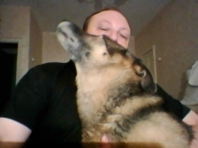 ���������� ������������, ���� ������� ��������, 48 ���, ������������ ��� c�������� ���������