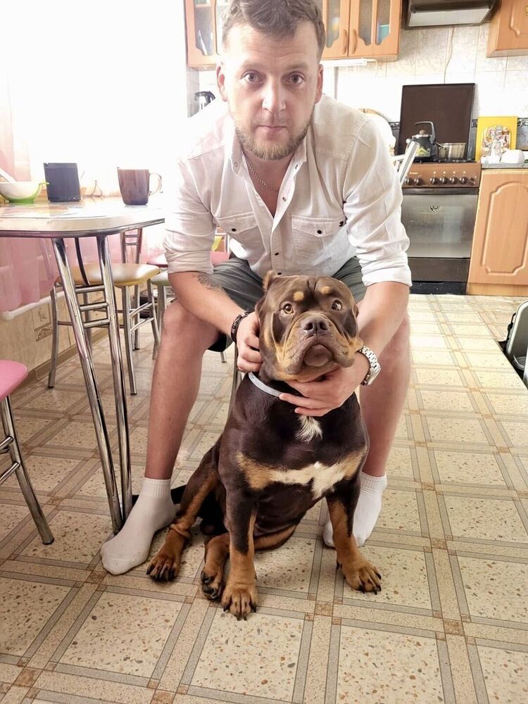 ���� 55362094 ������� �����, 32 ����, ���� ���������� � ���������