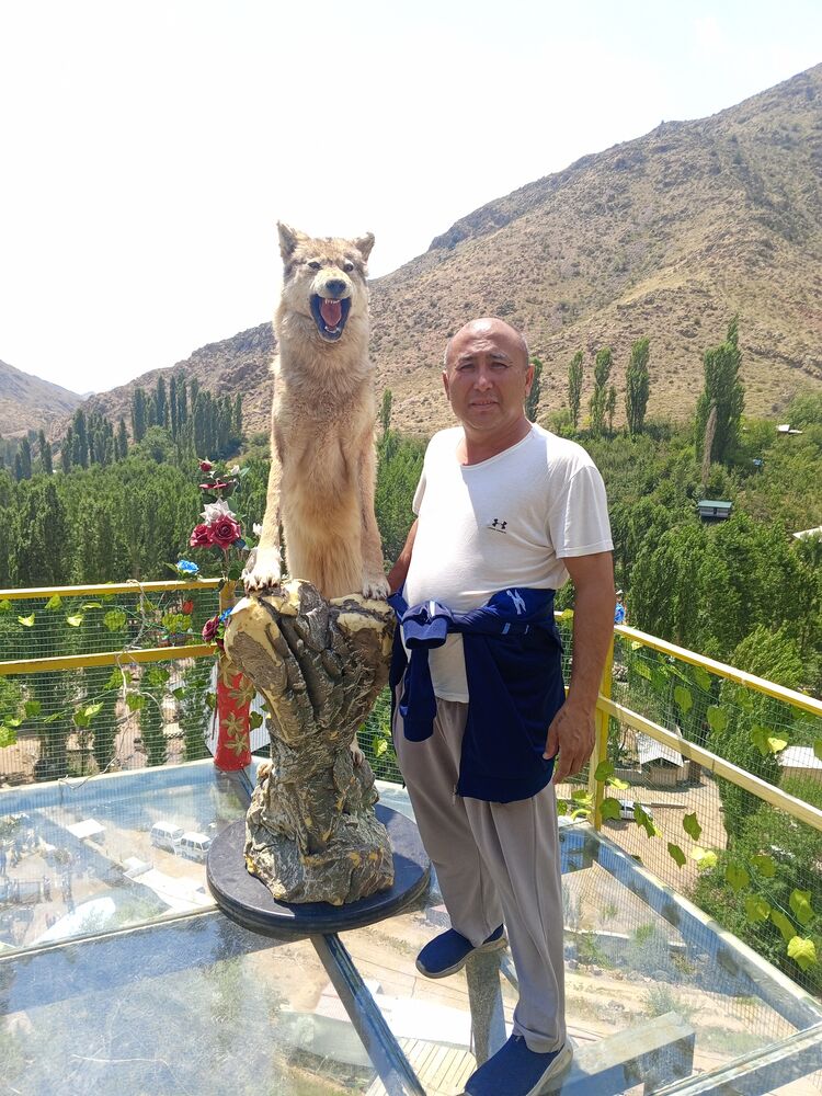 ���������� ������, ���� ������� �����, 54 ����, ������������ ��� ������, ����� � ���������